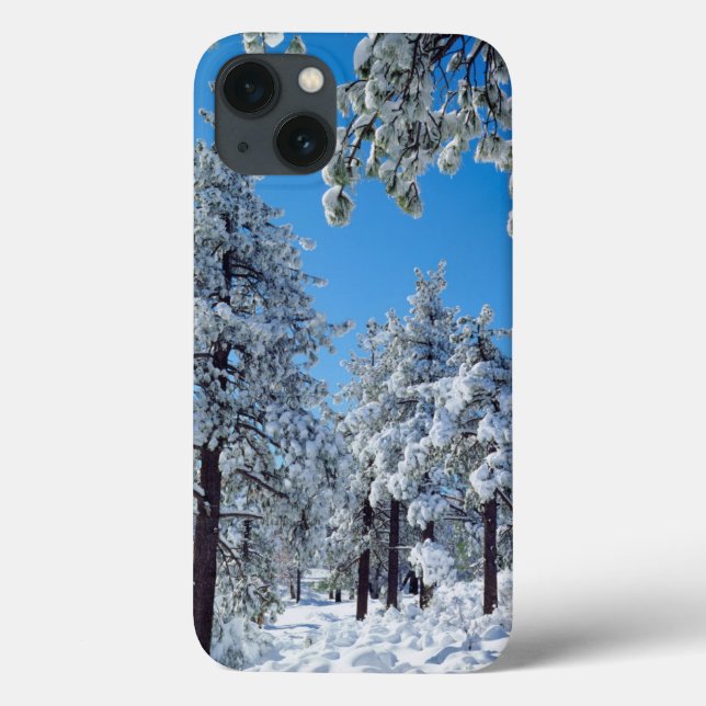 Snow-covered trees in the Laguna Mountains Case-Mate iPhone Hülle (Rückseite)