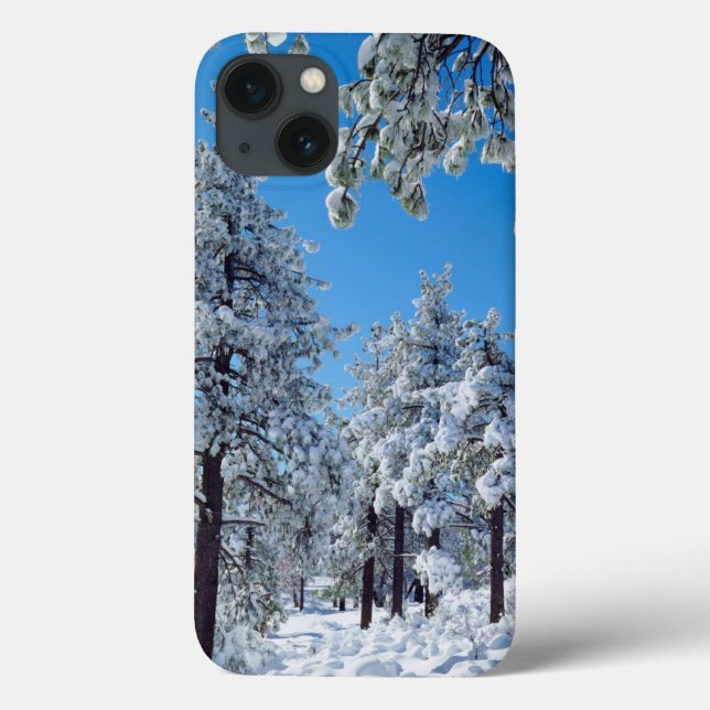 Snow-covered trees in the Laguna Mountains Case-Mate iPhone Hülle (Rückseite)