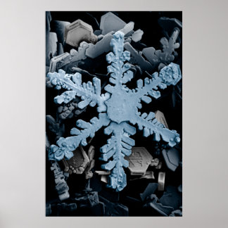 Snow Crystal 2 Poster