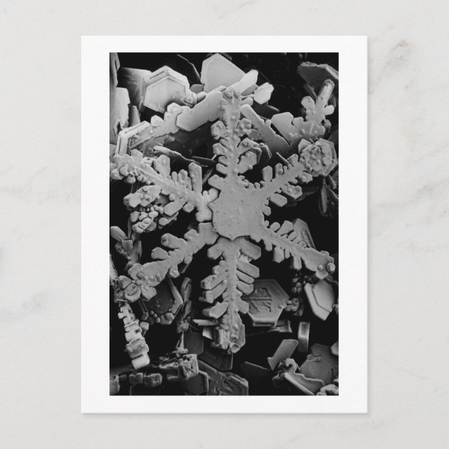 Snow Crystal Postkarte (Vorderseite)