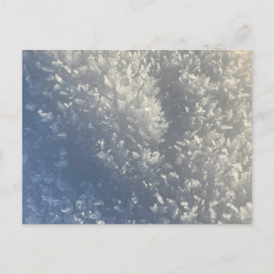 Snow Crystal Sunlight Feiertagspostkarte