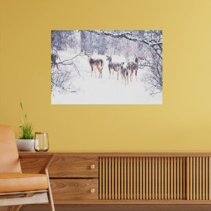 Snow Deer in Texas Art Poster