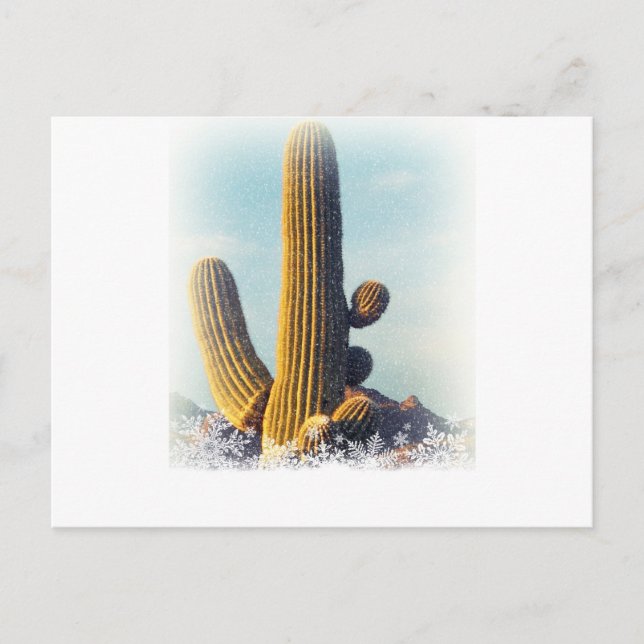 Snow Falling auf Saguaro Postkarte (Vorderseite)