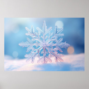 Snow Flake Nature Serene Ruhe Poster