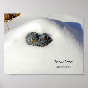 Snow frog poster
