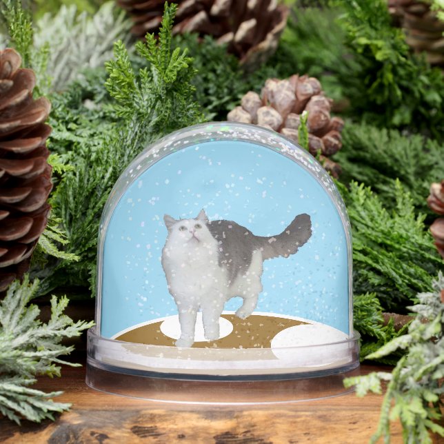 Snow Globe - Cat Looking Up Schneekugeln (Winter)