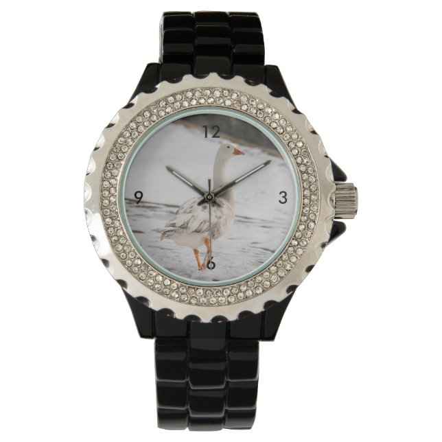Snow Goose Strut Armbanduhr (Vorderseite)