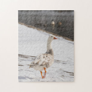Snow Goose Strut Puzzle