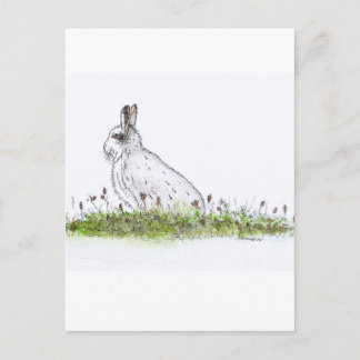 Snow Hare Postkarte