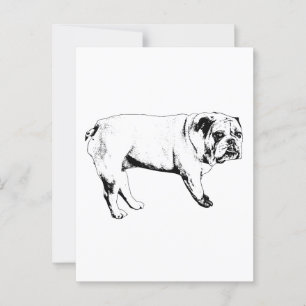 Snow-Hello Bulldog Postkarte