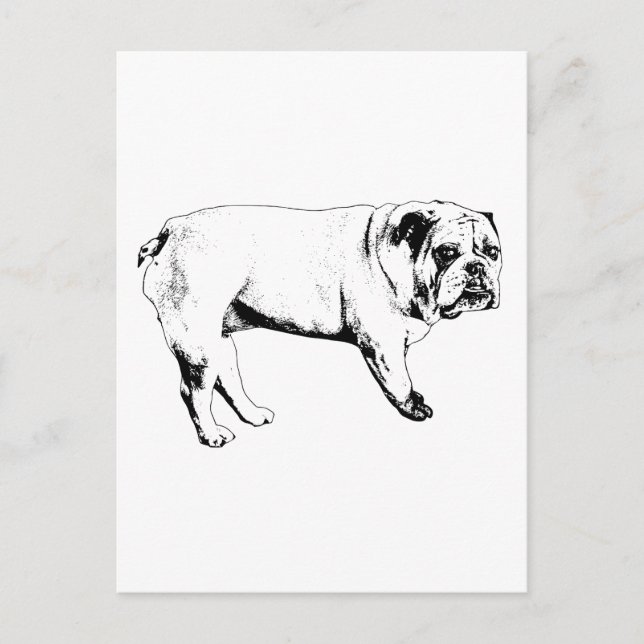 Snow-Hello Bulldog Postkarte (Vorderseite)