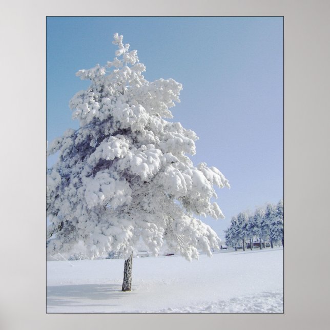 Snow Kissed Tree Poster (Vorne)