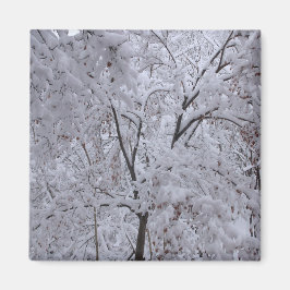 Snow-Laden Bäume Magnet