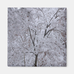 Snow-Laden Bäume Magnet
