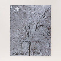 Snow-Laden Bäume