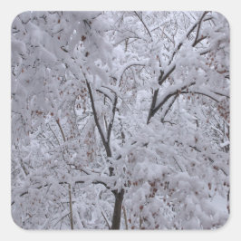 Snow-Laden Bäume Quadratischer Aufkleber