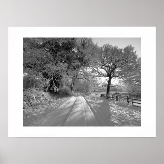 Snow Landscape: Cheshire Poster