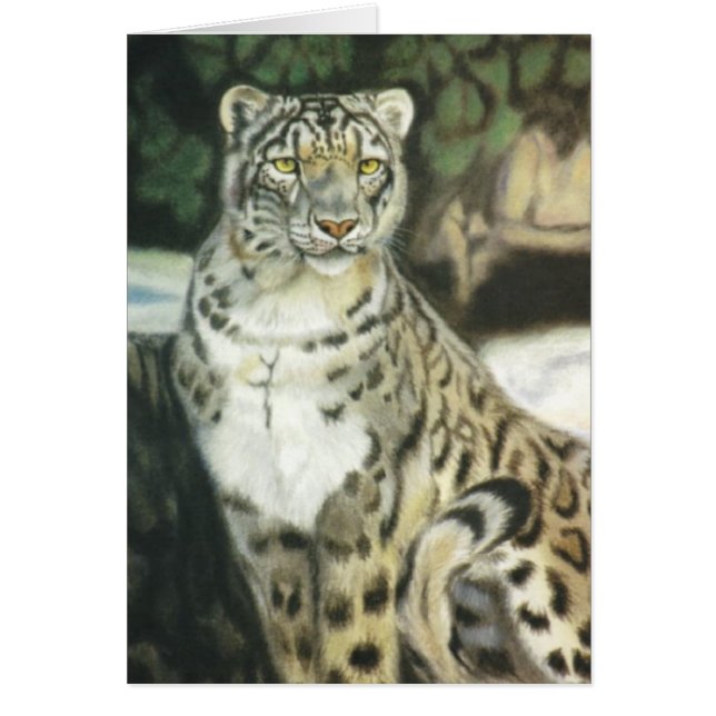 ‚Snow Leopard‘ (Vorne)