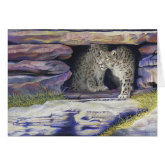 Snow Leopard
