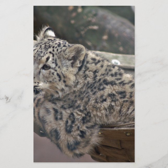 Snow Leopard Briefpapier (Vorderseite)