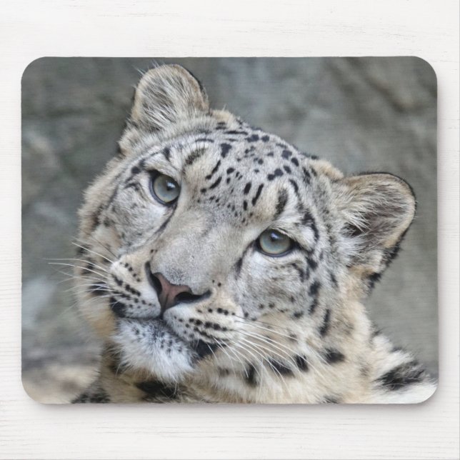 Snow Leopard Closeup Face Mousepad (Vorne)