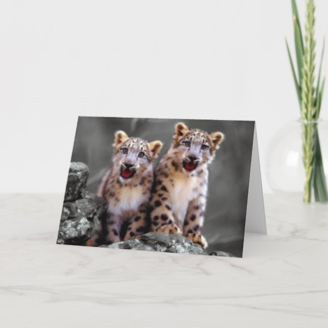 Snow Leopard Cubs Karte (Vorderseite)