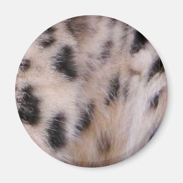 Snow Leopard Fur Magnet (Vorne)