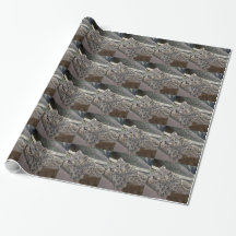 Snow Leopard