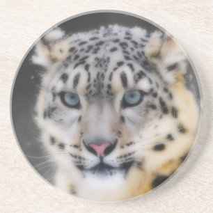 Snow Leopard Getränkeuntersetzer