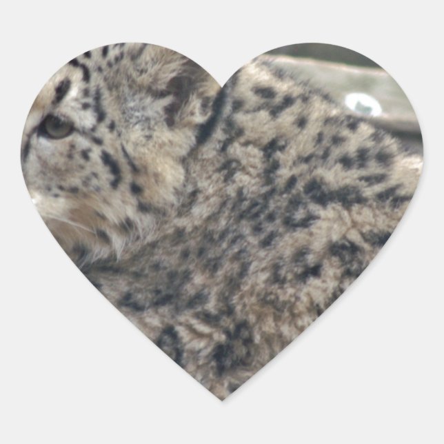 Snow Leopard Herz-Aufkleber (Vorderseite)