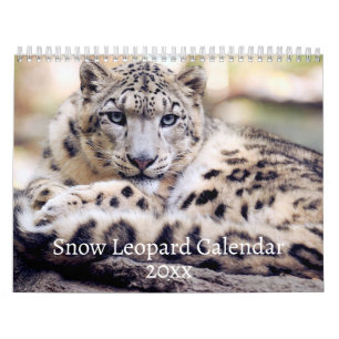 Snow Leopard-Kalender Kalender