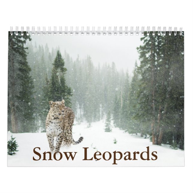Snow Leopard-Kalender Kalender (Titelbild)