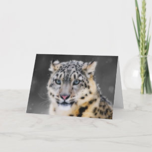 Snow Leopard Karte