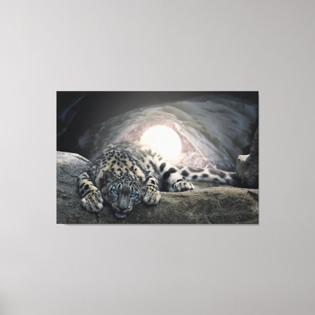 Snow Leopard Leinwanddruck (Vorderseite)