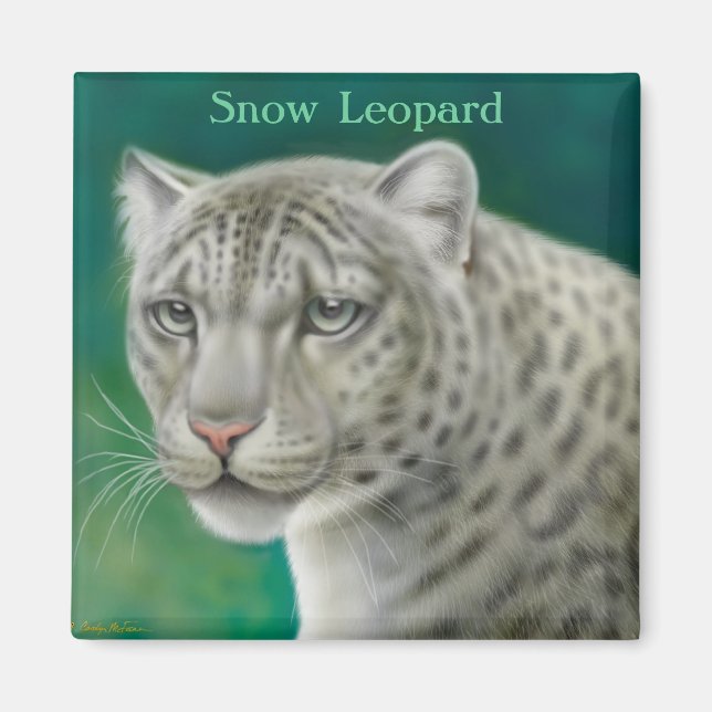 Snow Leopard Magnet (Vorne)