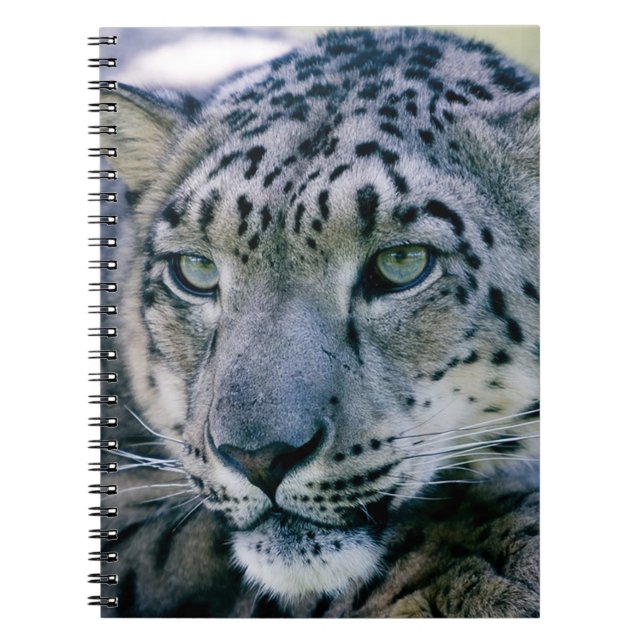 Snow Leopard Notizblock (Vorderseite)