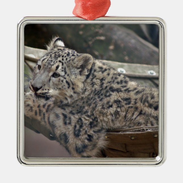 Snow Leopard Ornament Aus Metall (Vorne)