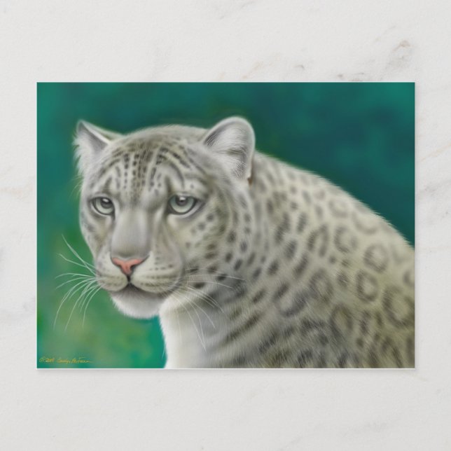 Snow Leopard Postkarte (Vorderseite)