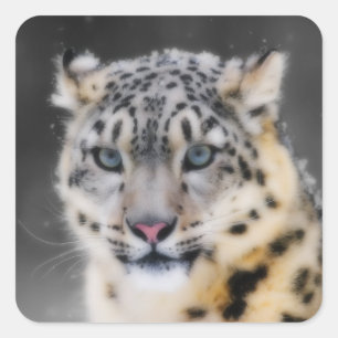Snow Leopard Quadratischer Aufkleber
