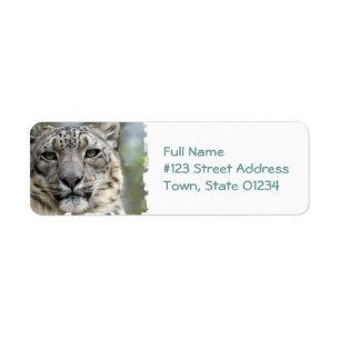Snow Leopard Rücksendeadresse Mailing Label