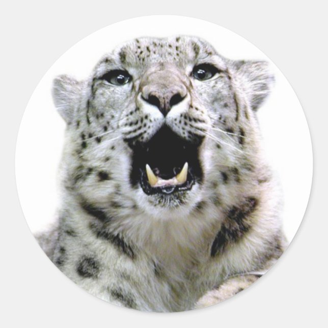 Snow Leopard Runder Aufkleber (Vorderseite)