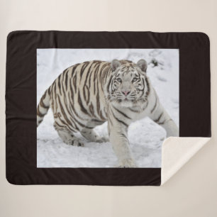 Snow Leopard Sherpadecke