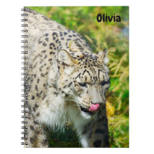 Snow Leopard Spiral Notebook Notizblock