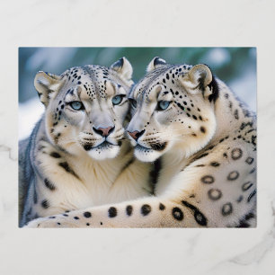 Snow Leopard Tierart Zuneigung Cari Folien Feiertagspostkarte