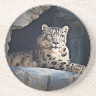 Snow Leopard Untersetzer