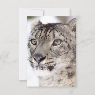 Snow Leopard Weihnachtskarte Dankeskarte