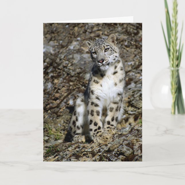 Snow Leopard - Weihnachtskarte Feiertagskarte (Vorderseite)