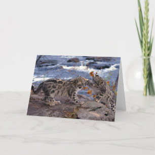 Snow Leopards Greeting Card Karte