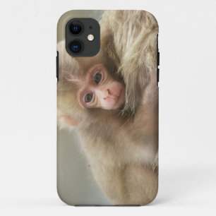 Snow Monkey Baby, Jigokudani, Nagano, Japan 2 Case-Mate iPhone Hülle