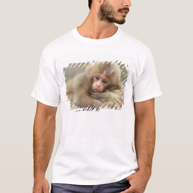 Snow Monkey Baby, Jigokudani, Nagano, Japan 2 T-Shirt (Vorderseite)
